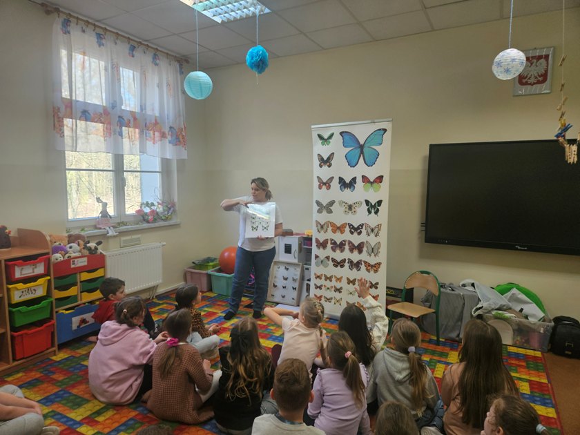 Warsztaty z motylami